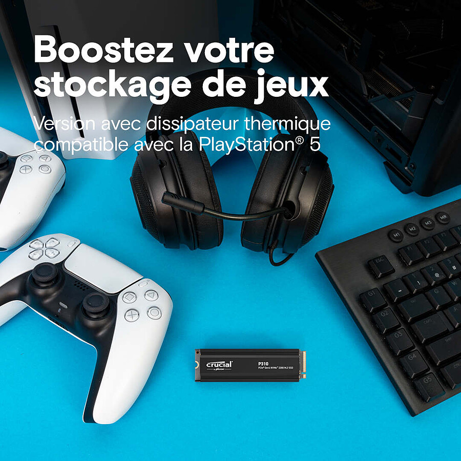 Crucial P310 - 1 To avec dissipateur