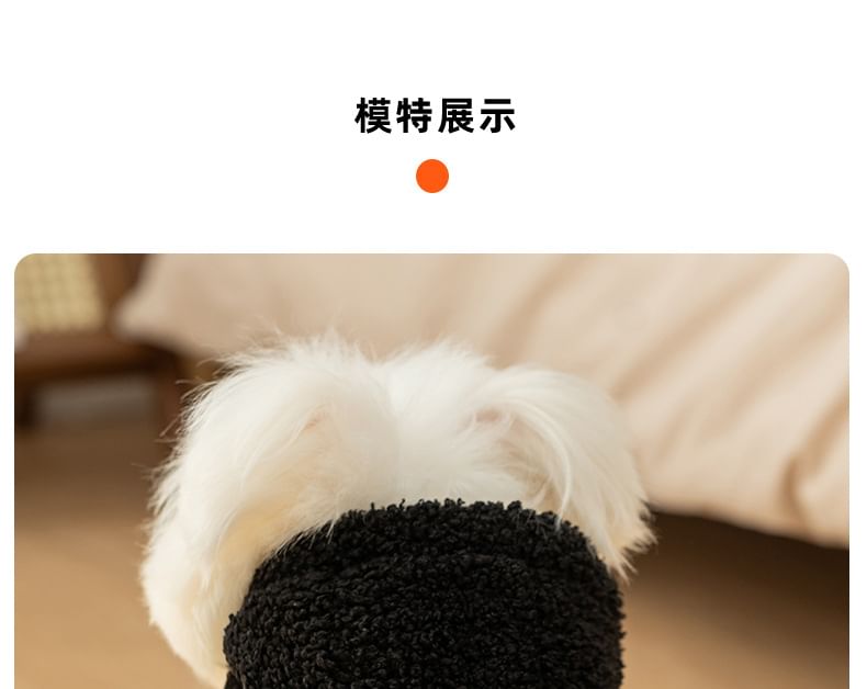 Cissilli - Corduroy Pet Top met capuchon en letters