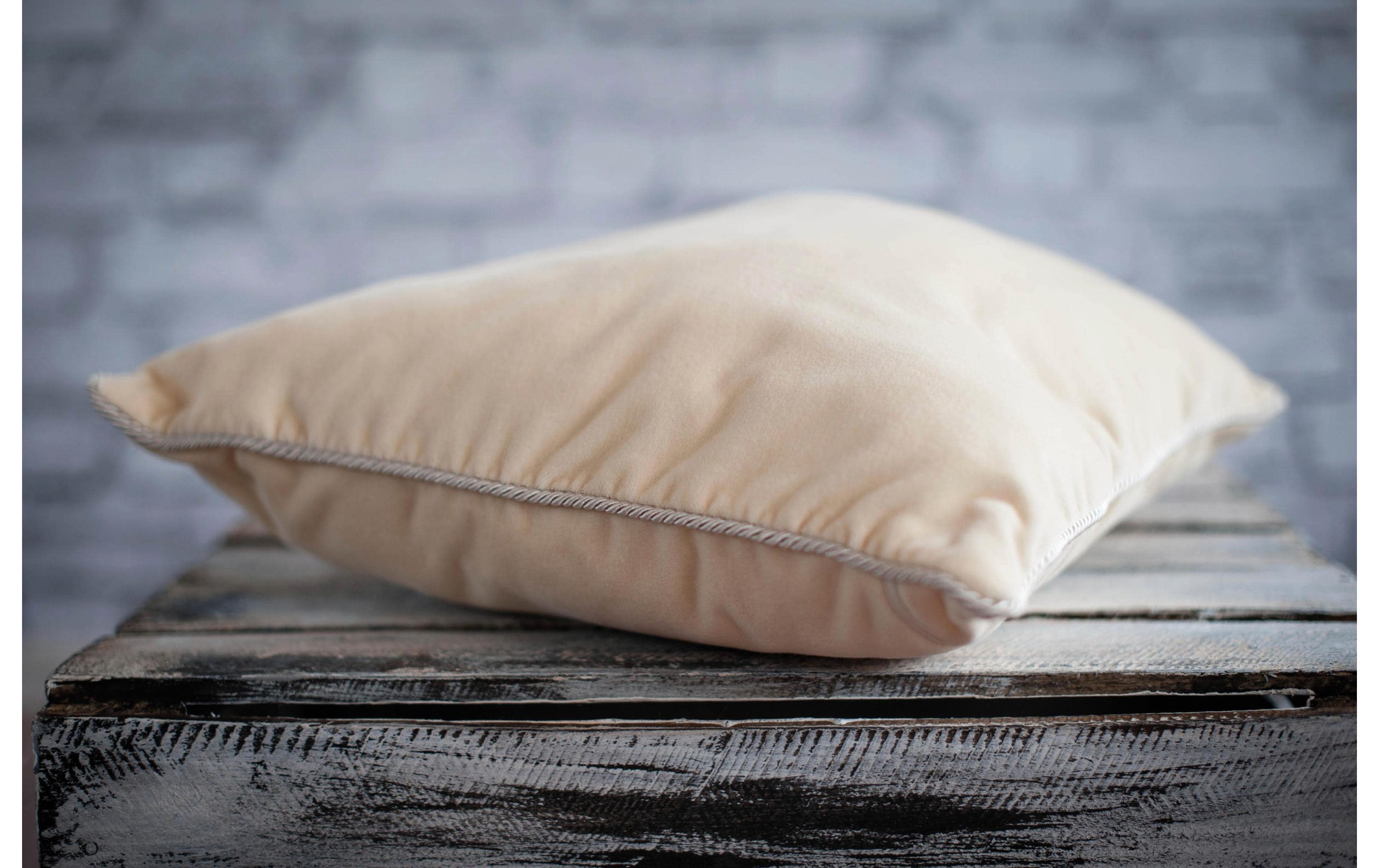 Klassisches Kopfkissen Alivia Natur Hirse, 65 x 100 cm<br>Hirsekissen