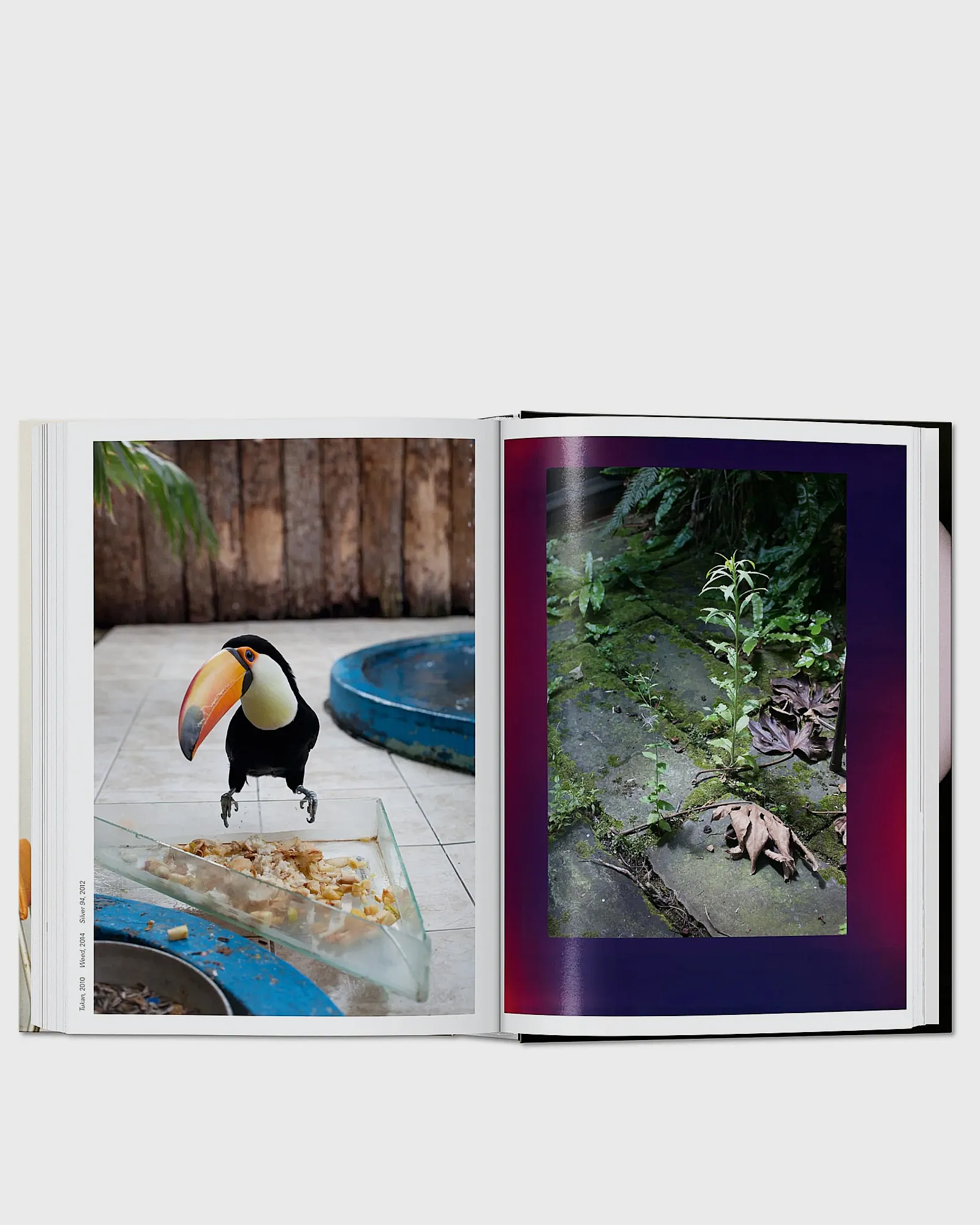 Taschen four books. 40th Ed by Wolfgang Tillmans
