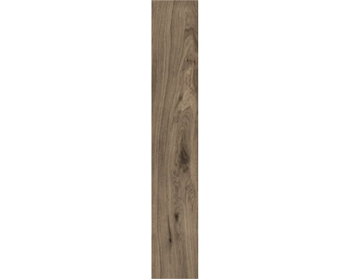 Porseleinen steengoed wand- en vloertegel Oliver Braun 20 x 119,5 x 1 cm mat gerectificeerd