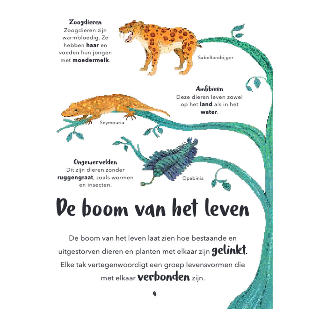 Uitgeverij lannoo mijn eerste bijzondere boek van dinosaurussen