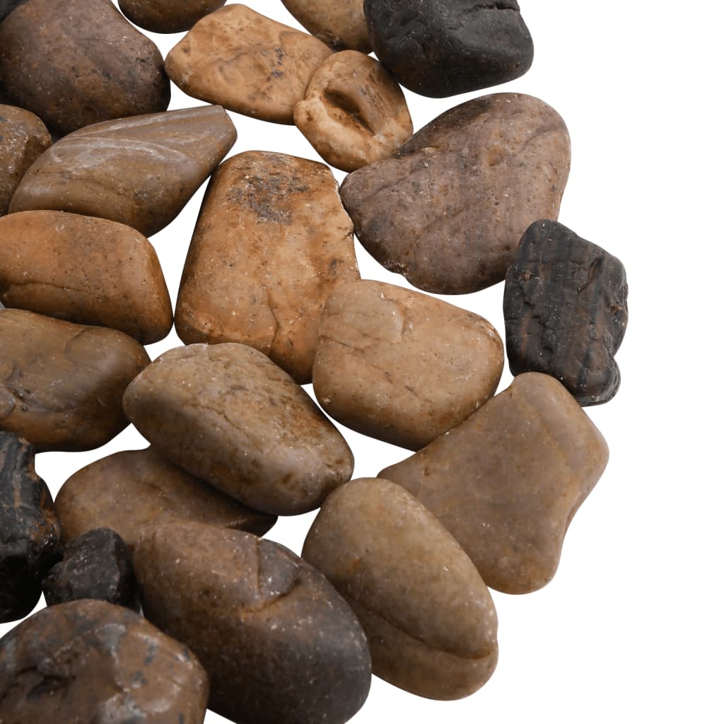 vidaXL Pedras polidas de cores variadas 10 kg 2-5 cm