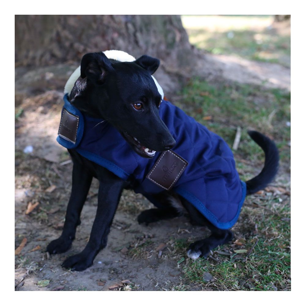 Kentucky ORIGINAL 160G - Couverture pour chien navy