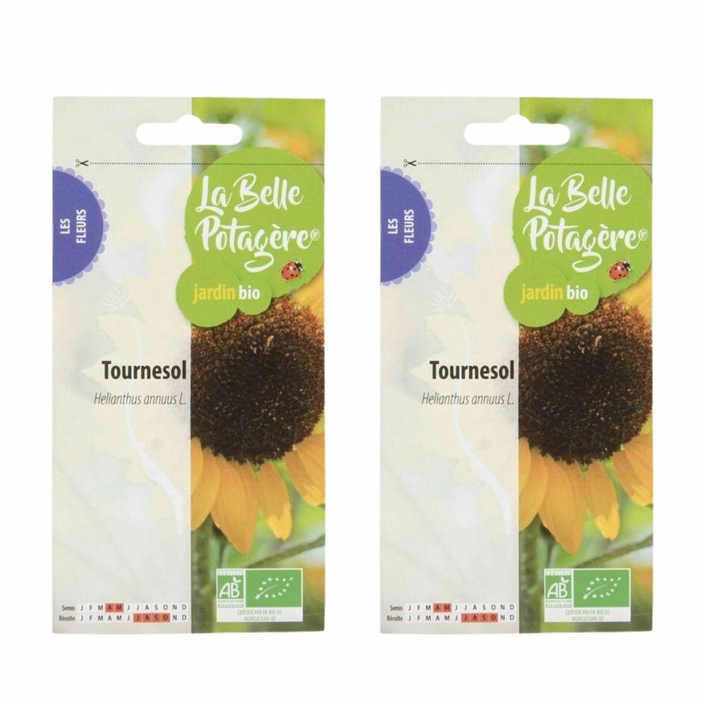 Graines à semer - tournesol - 9 g