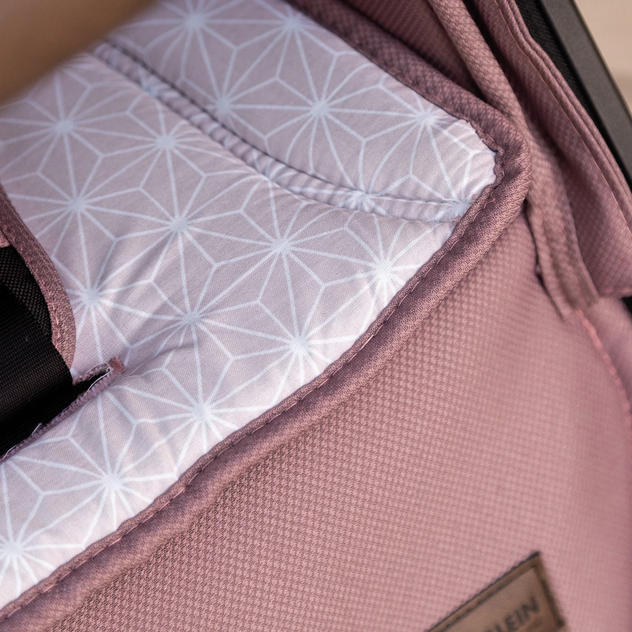 GESSLEIN Kombikinderwagen FX4 Life mit Handbremse, rose