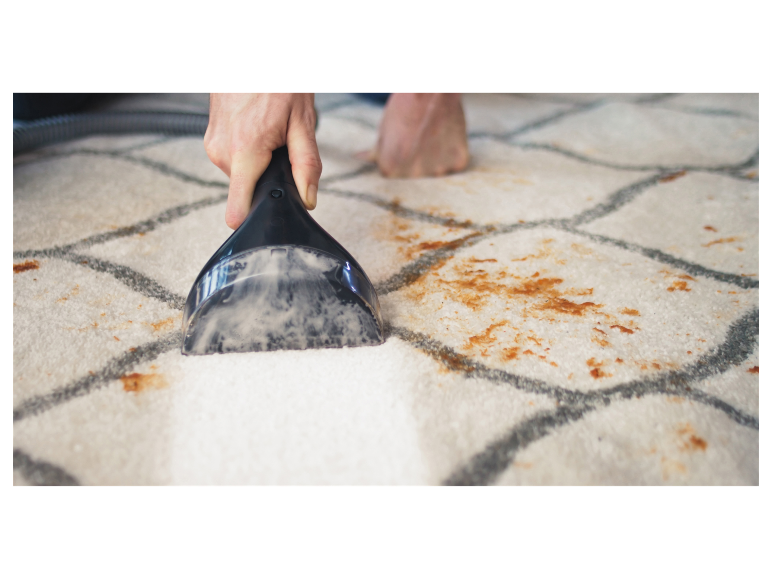 Tapijtreiniger SpotClean Professional 1558N