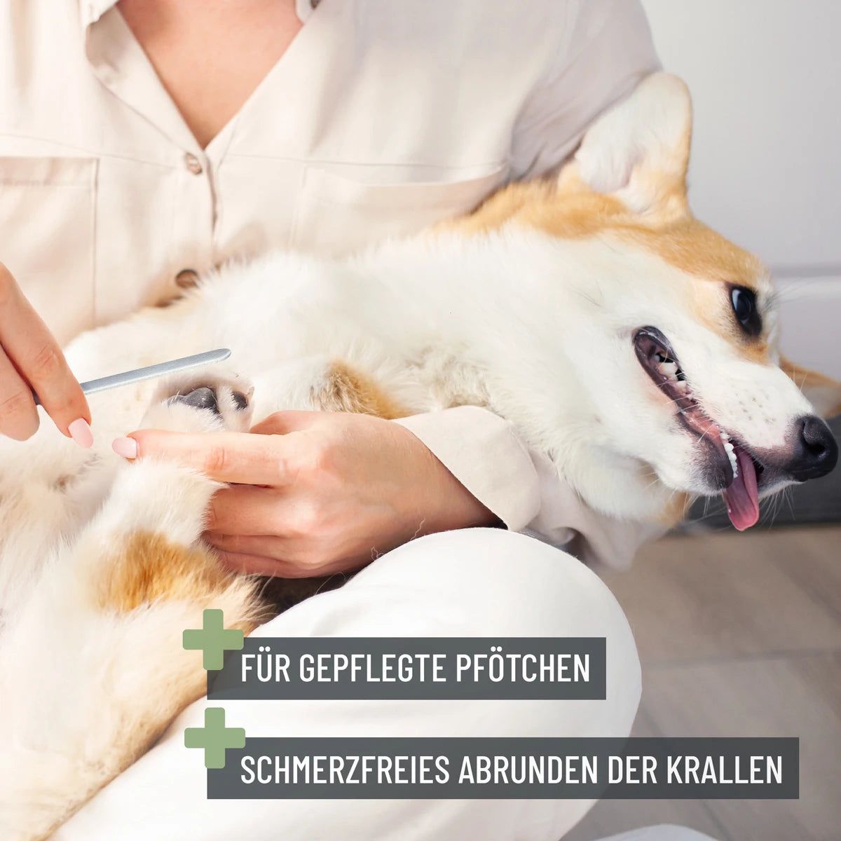Krallenschere S-XL - ReaVET