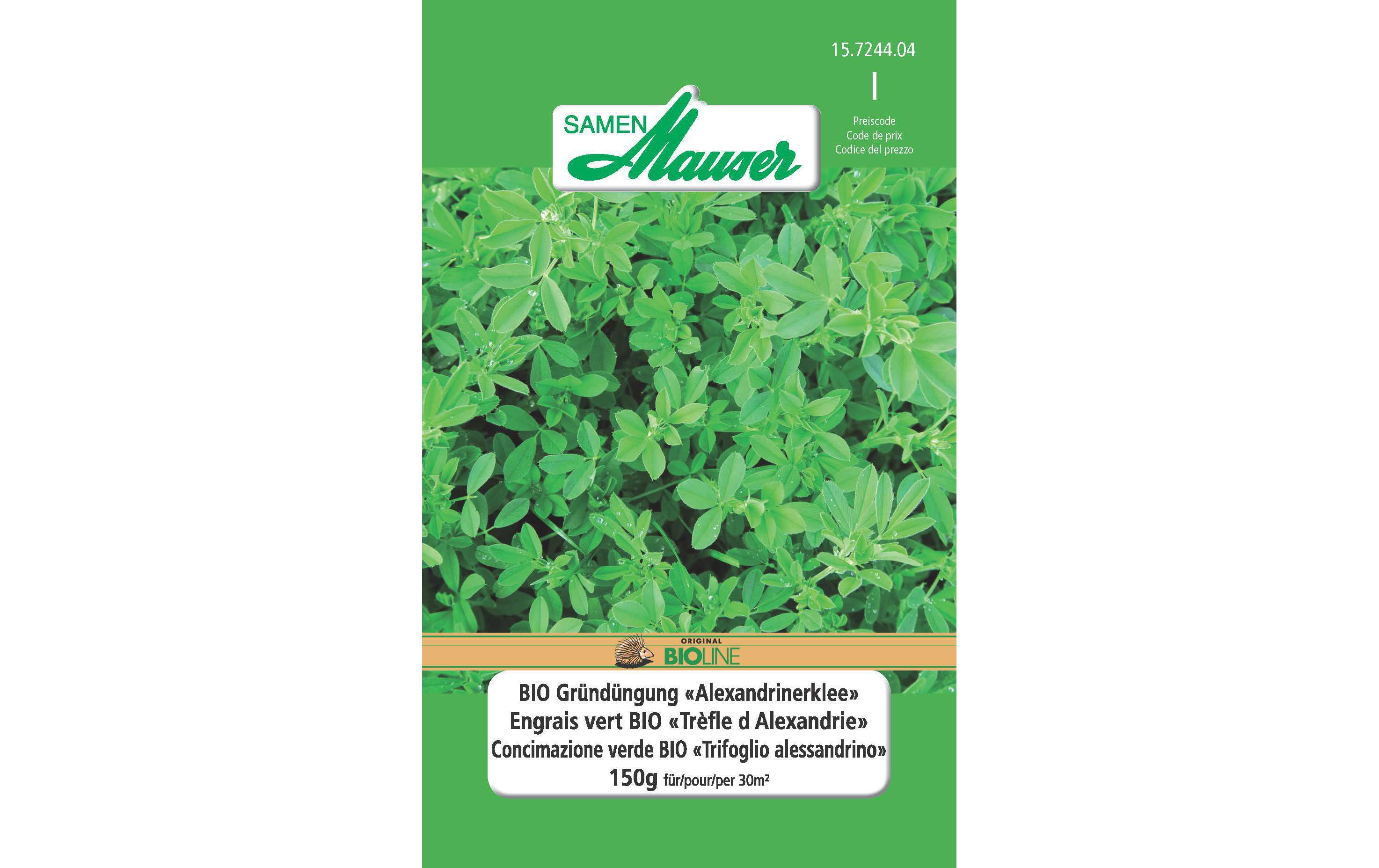 Saatgut BIO Gründüngung AlexandrinerkleeBlumensamen