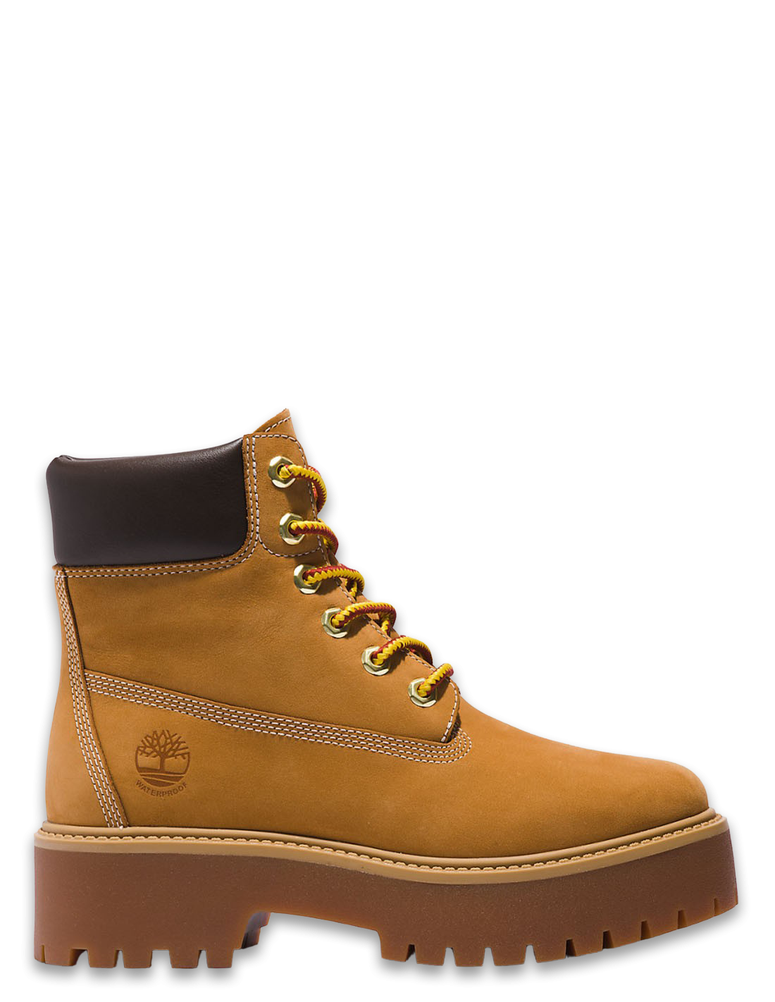 timberland Bottines Femme stst 6 in lace waterproof boot wheat