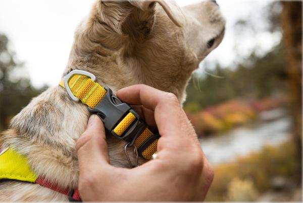 RUFFWEAR® Hundehalsband Hi & Light™ Collar