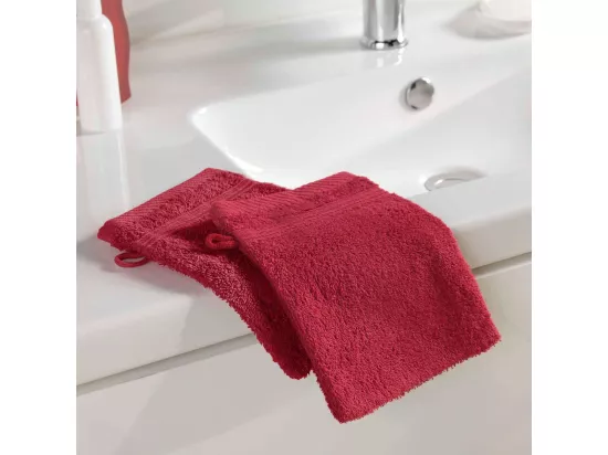Lot de 2 Gants de Toilette 