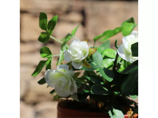 Rosier plante fleur artificielle extérieur cimetière tissu blanc 23cm