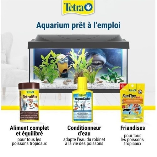Aquário Tetra Minions 54L