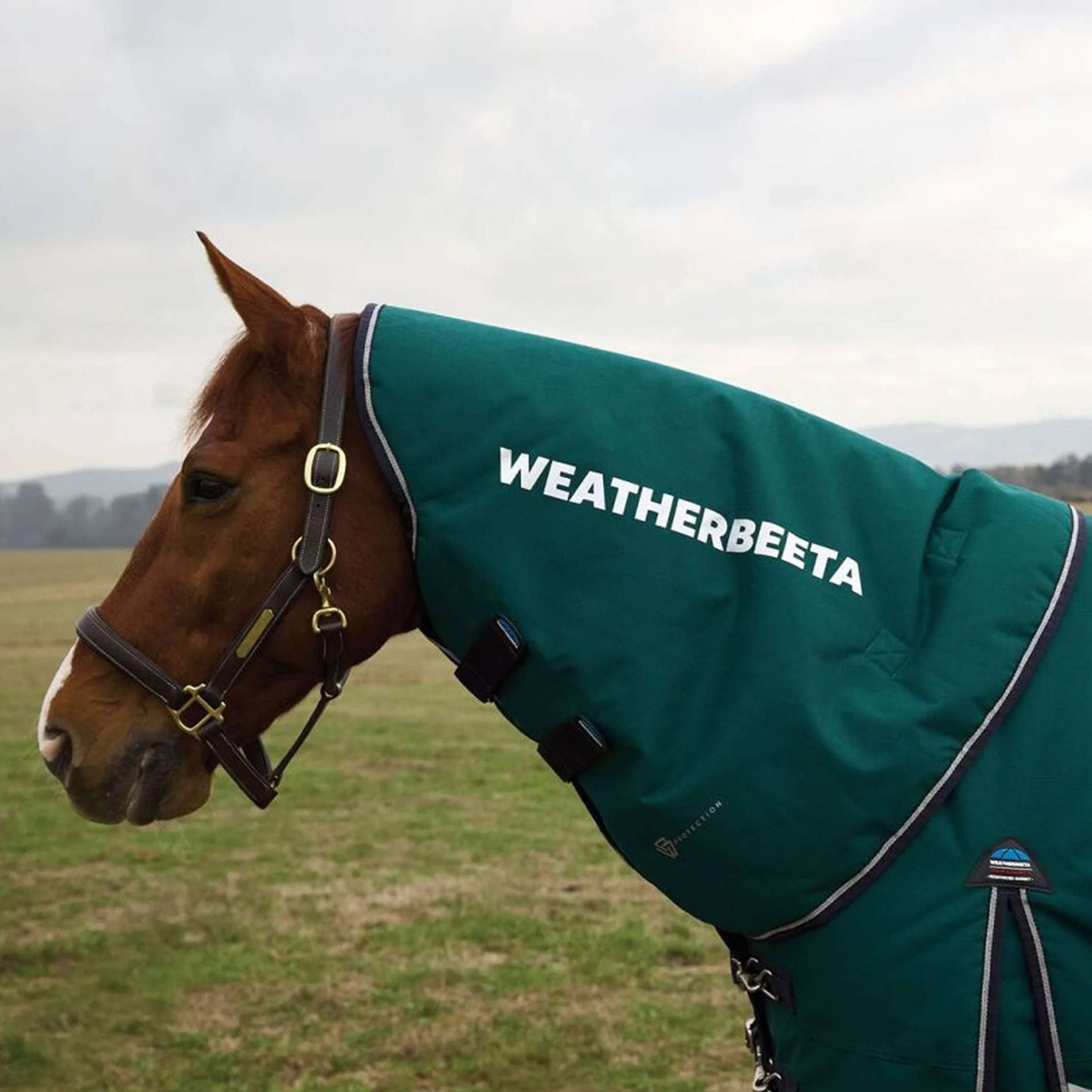 WeatherBeeta Halsstuk ComFiTec Plus Dynamic Turnout 0g Forest Green/Na