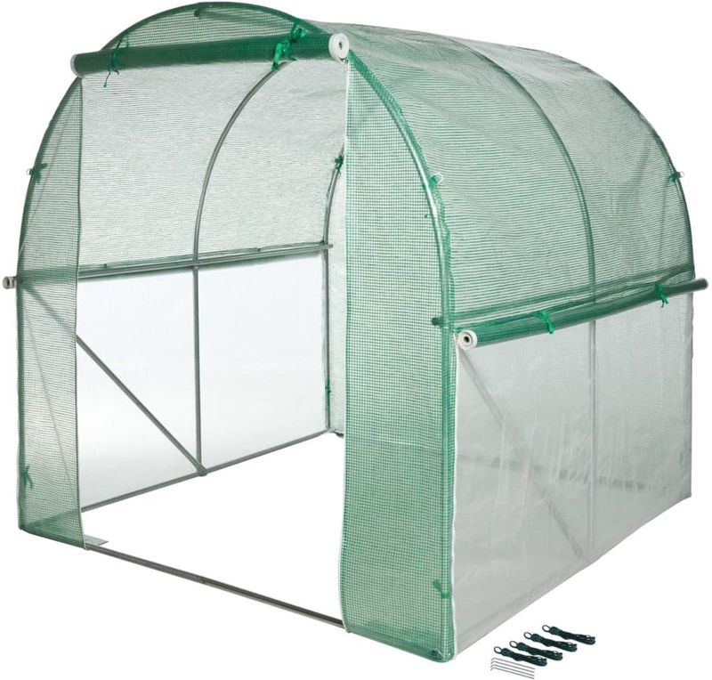 Nature - Tunnelkas - Transparant-Groen - Metaal met Epoxycoating