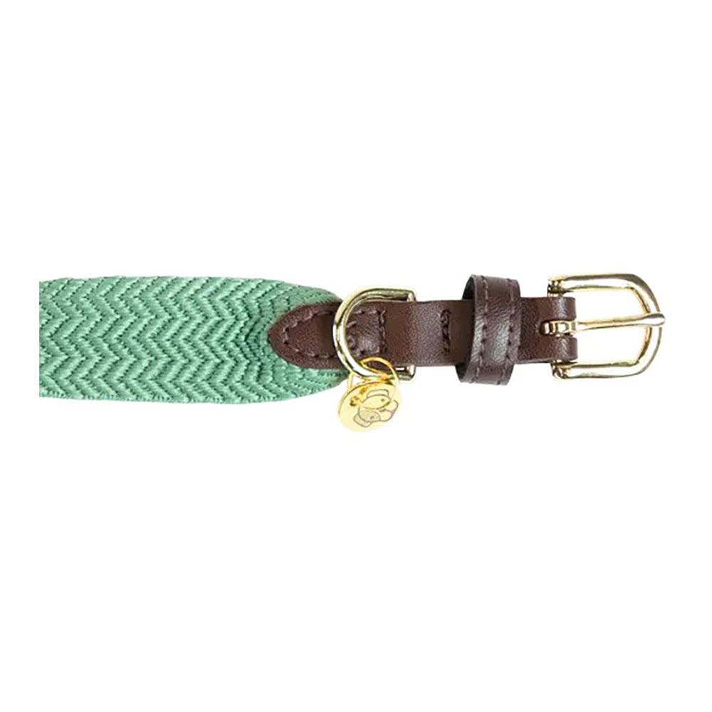 Kentucky JACQUARD-  Collier pour chien olive green
