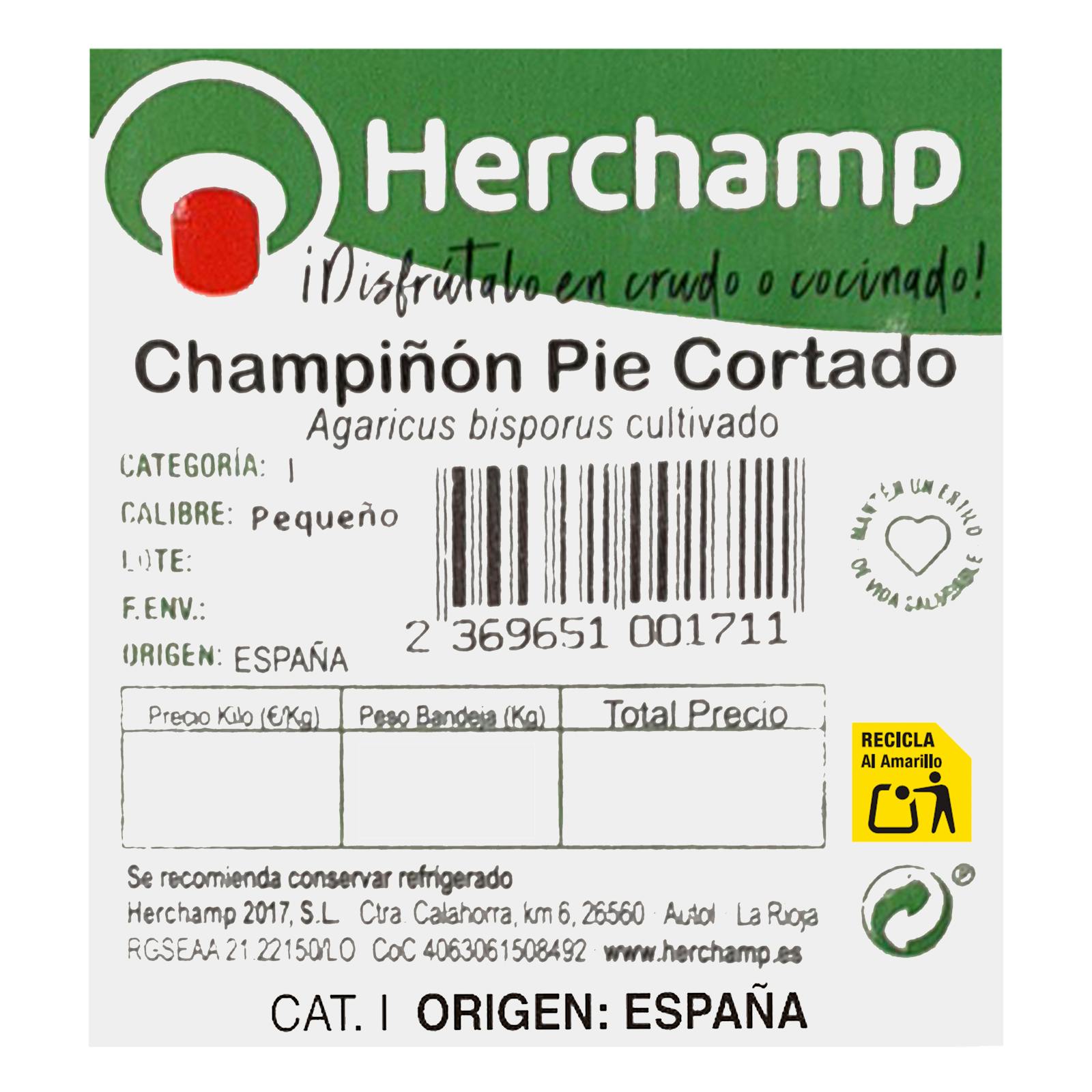 Petits champignons