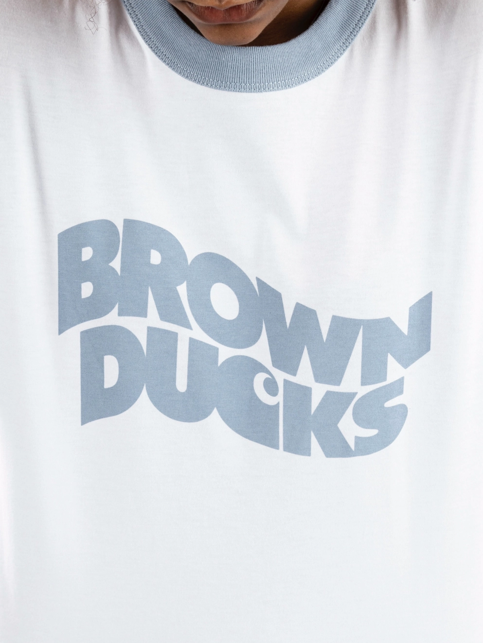 Carhartt WIP Brown Ducks Ringer T-Shirt white/dusty ice