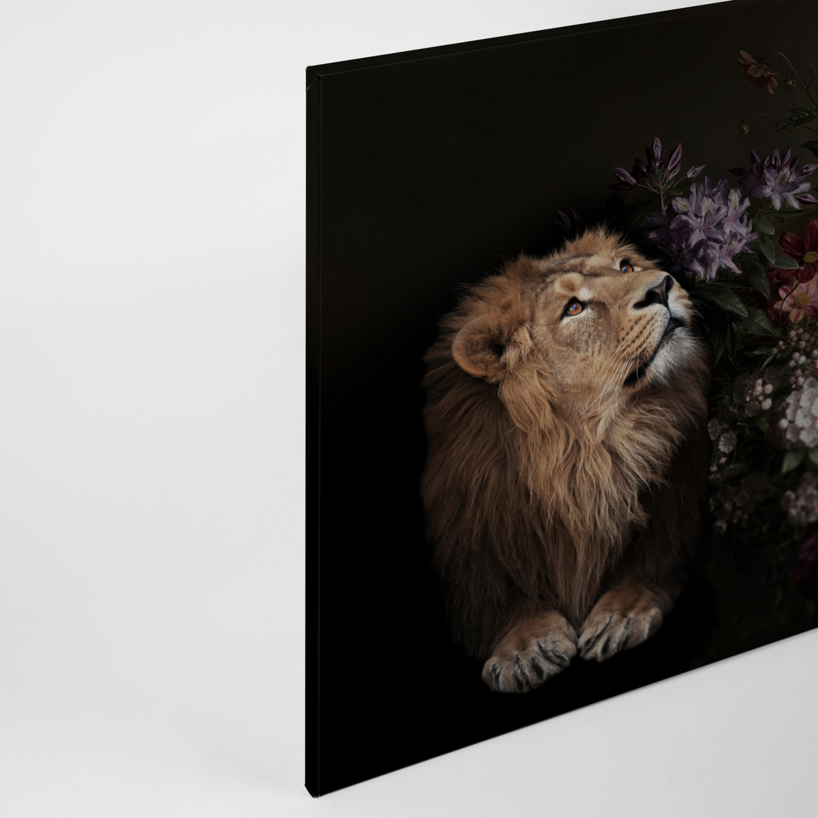 Leinwandbild LÖWE - schwarz-beige - 90x60 cm