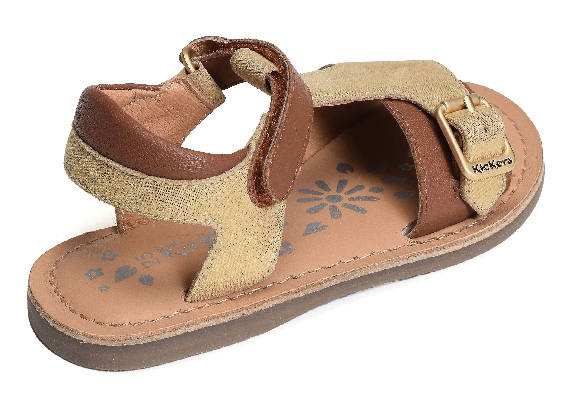 Diazz camel or