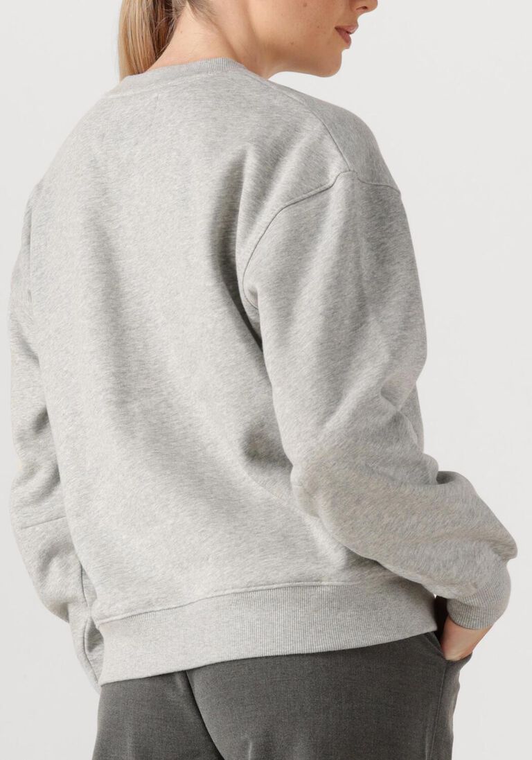 grijze janice sweater andy