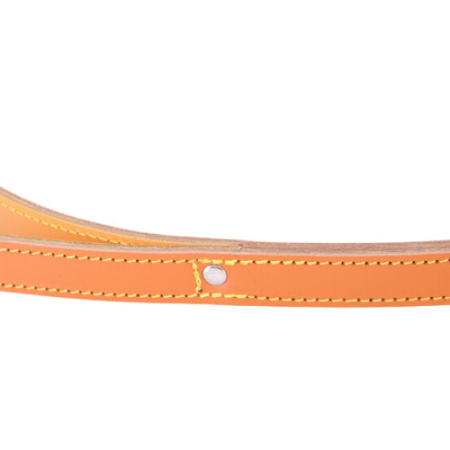 Laisse courte 50 cm en cuir pour chien