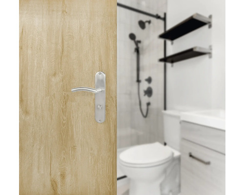 Elin WC renovatieset, roestvrij staal, satijnen afwerking
