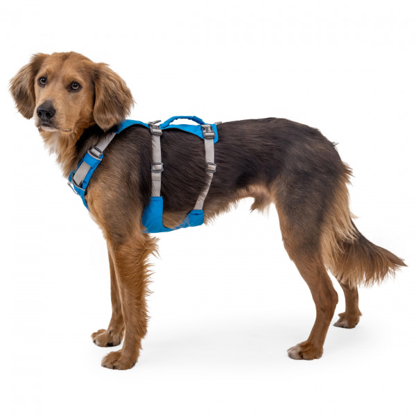 Ruffwear - Flagline Harness - Harnais pour chien