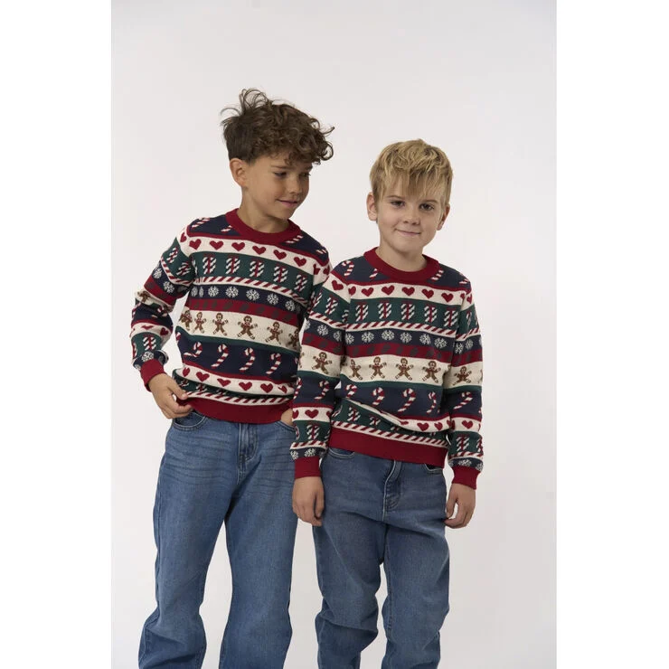 The New TNHoliday Jacquard Pullover Multi colour