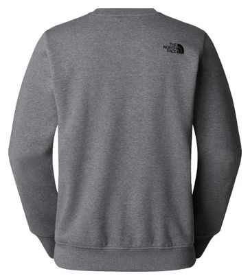 Sweat Manches Longues The North Face Drew Peak Gris
