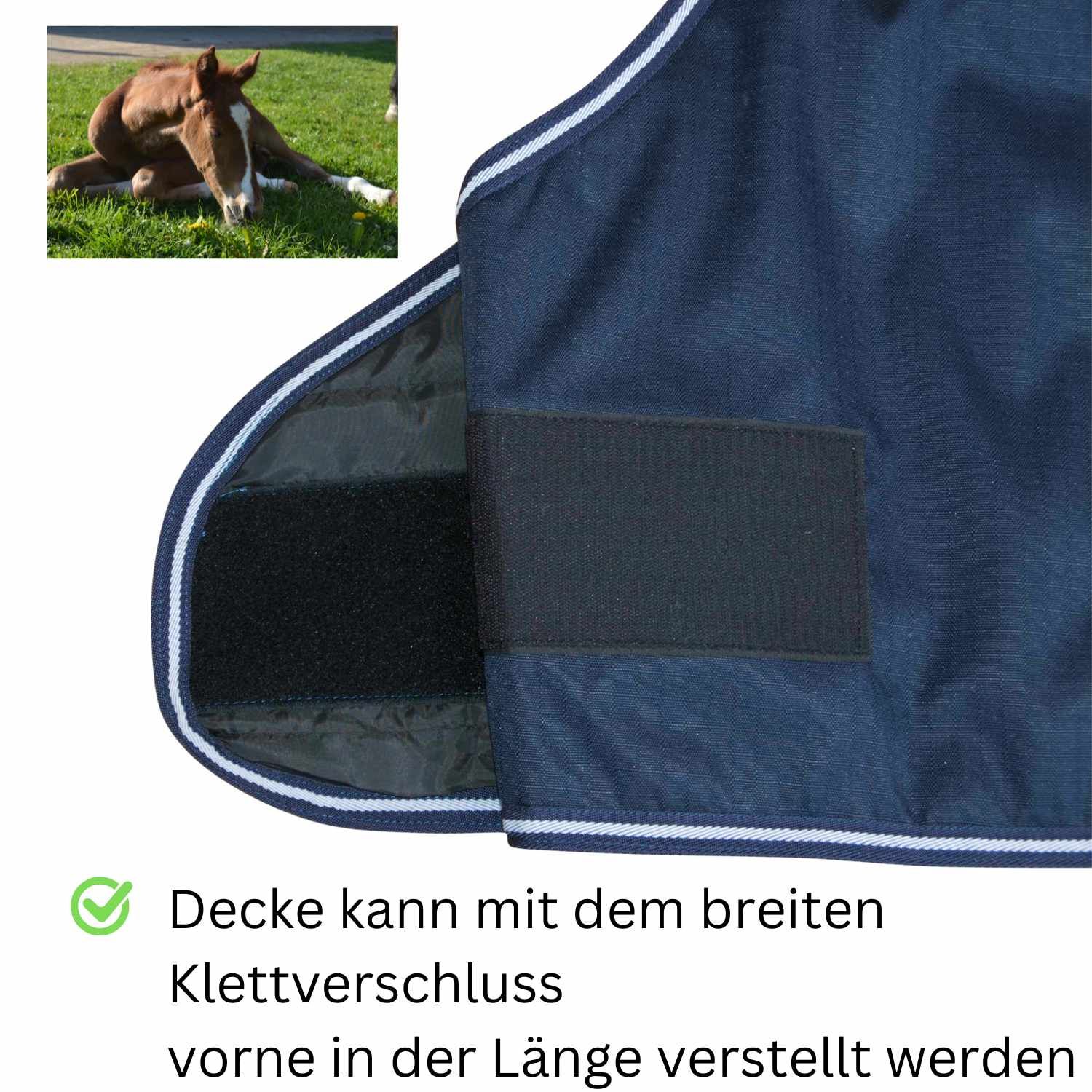 AMKA Fohlendecke