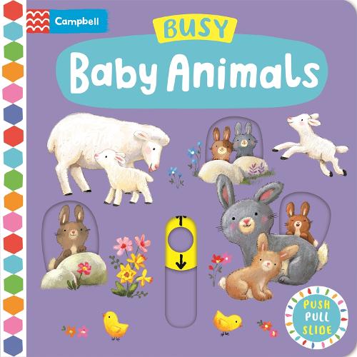 Busy Baby Animals - Campbell Busy Books (Board book)