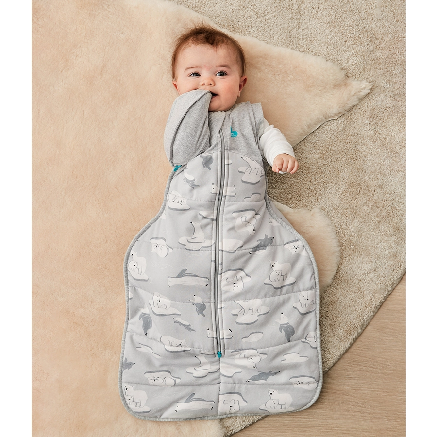 Love to dream™ Swaddle Up™ Übergangspucksack Südpol grau