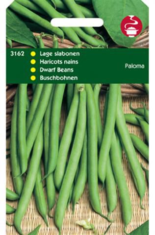 Hortitops Stamslabonen Phaseolus Vulgaris L. Paloma - Groentezaden