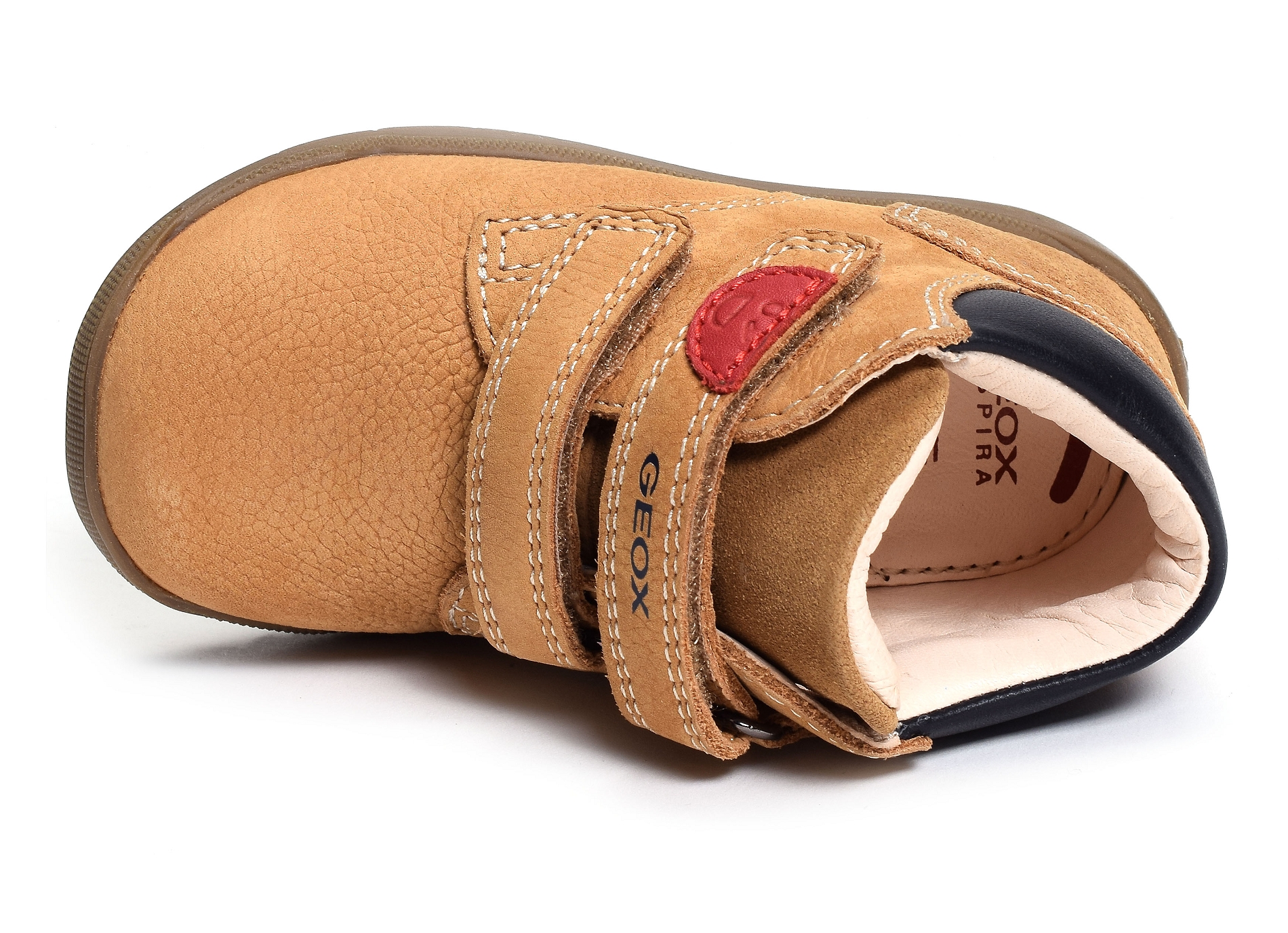 B macchia bc camel