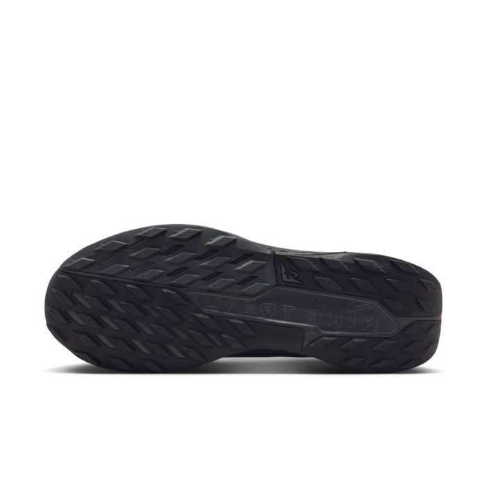 Nike Herre Trailsko Pegasus Trail 5 Gore-Tex Sort