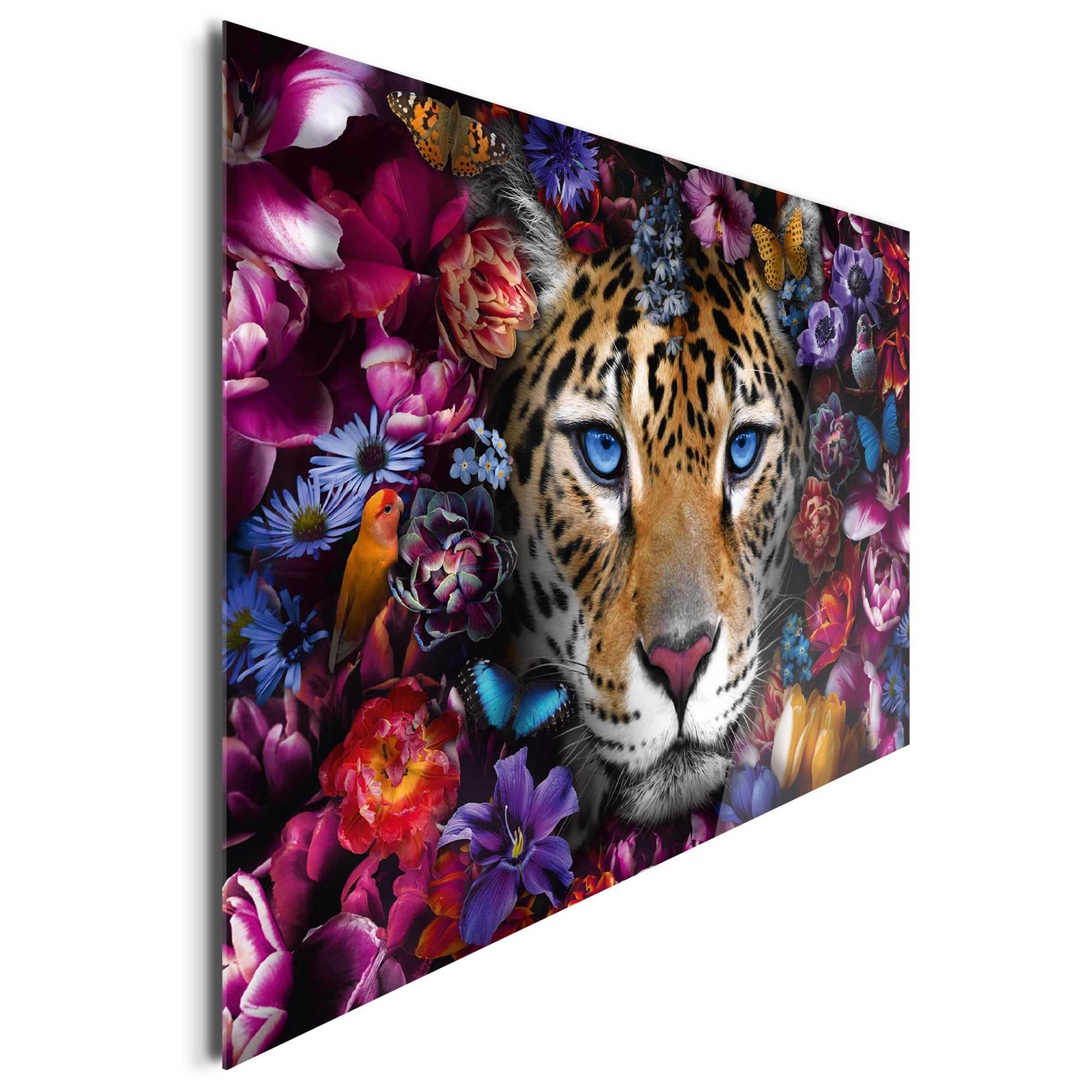 Deco Glass POWER CAT - 70x100 cm