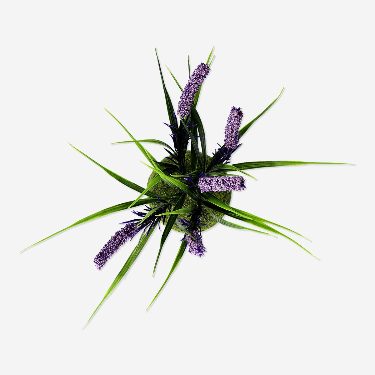 Dekorativ lavendelblomst