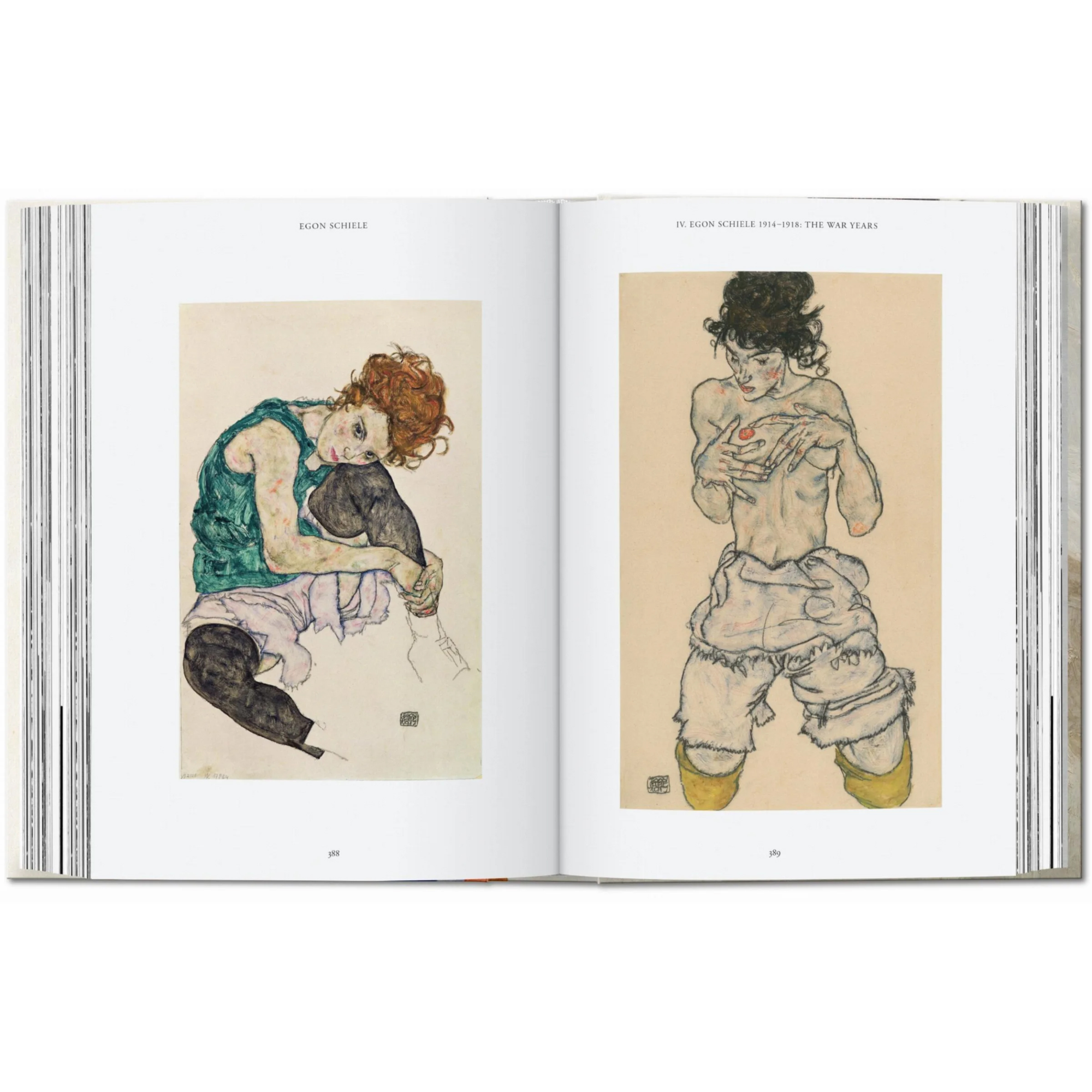 Egon Schiele. the Complete Paintings