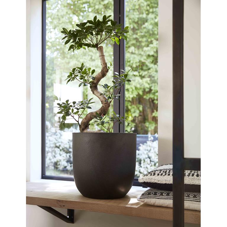 Capi Europe Urban Smooth Egg Planter Bloempot 43 cm