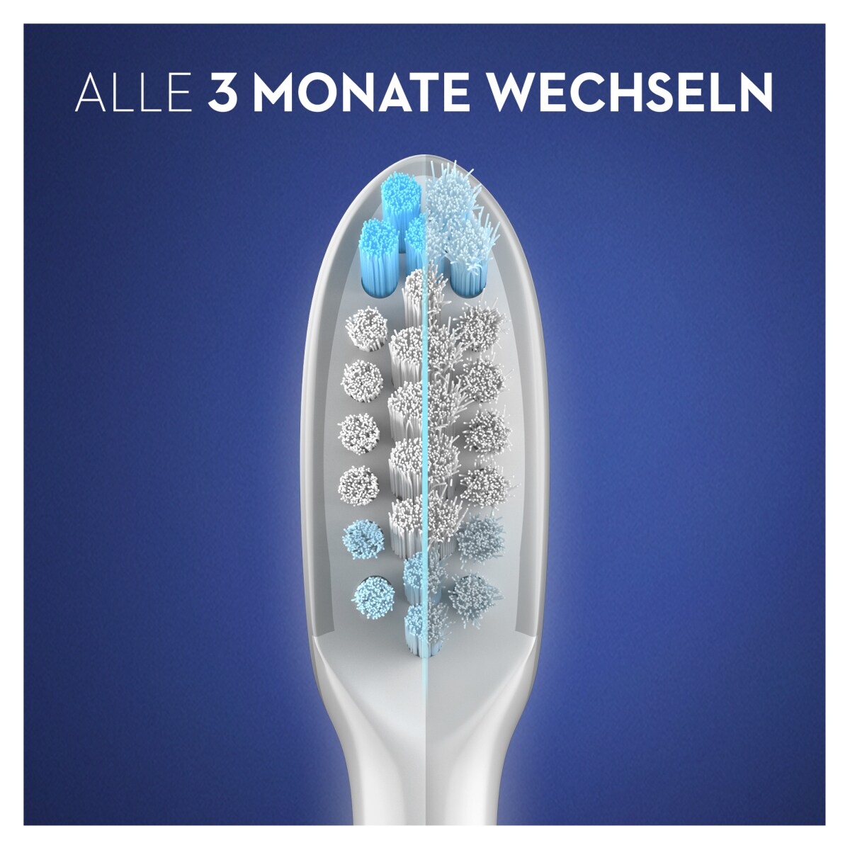 Oral-B Pulsonic Clean Aufsteckbürsten für Schallzahnbürsten, 2 Stück