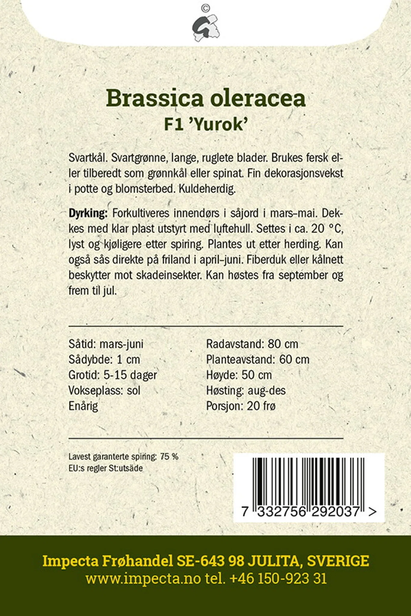 Brassica oleracea F1 'Yurok' Palmekål F1 'Yurok'