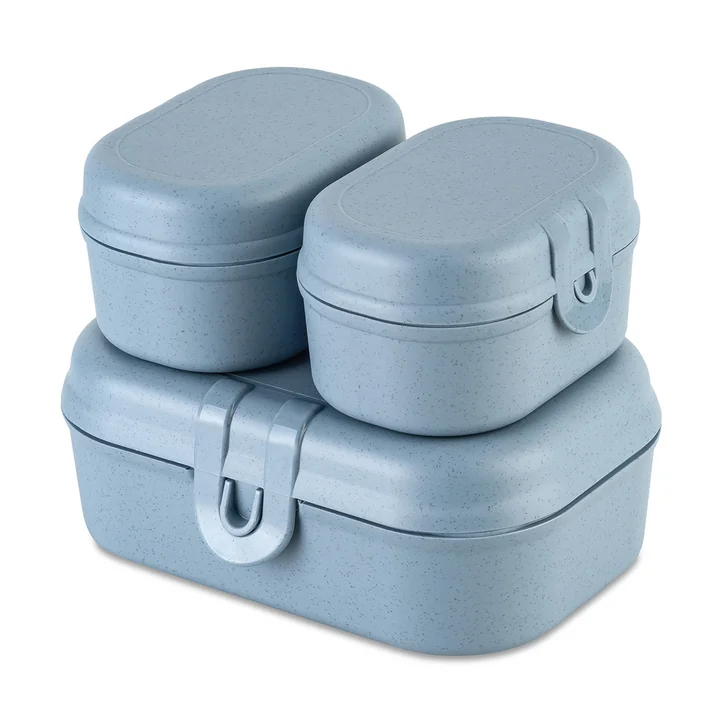 Koziol - Pascal Ready Mini Lunchbox-Set, nature flower blue