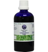B Nagel Avena sativa tinctuur (100 ml)