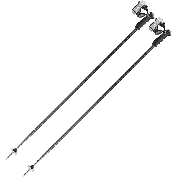 Bâton de ski LEKI DETECT S