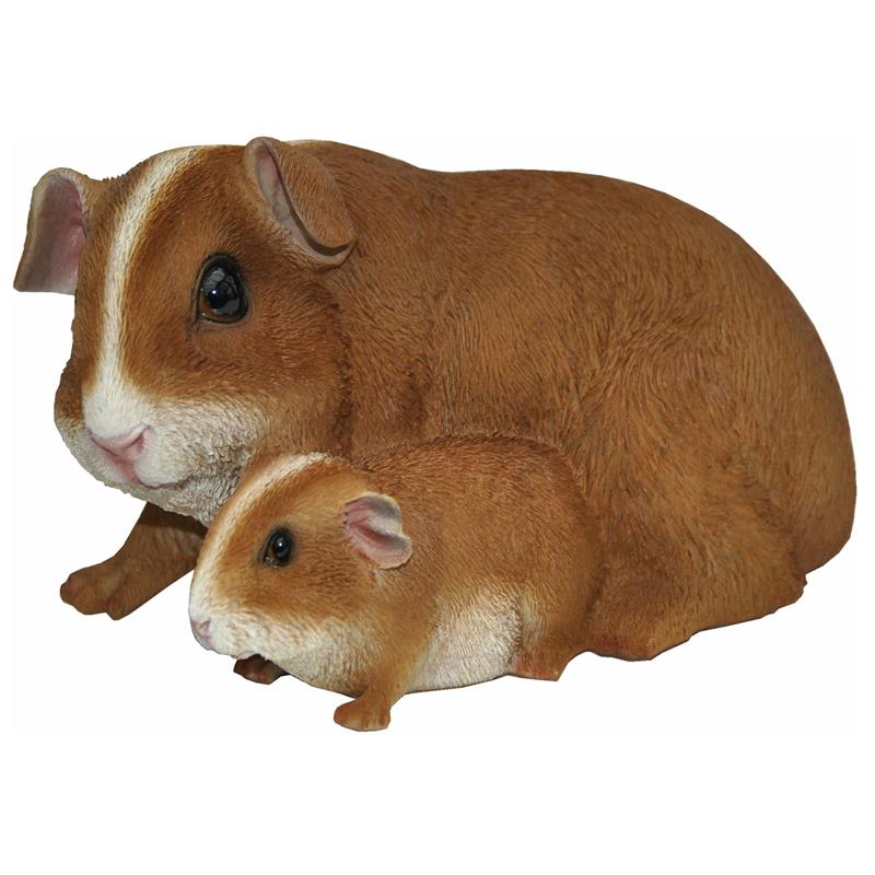 Dazikemo Meerschweinchen Mutter+Kind