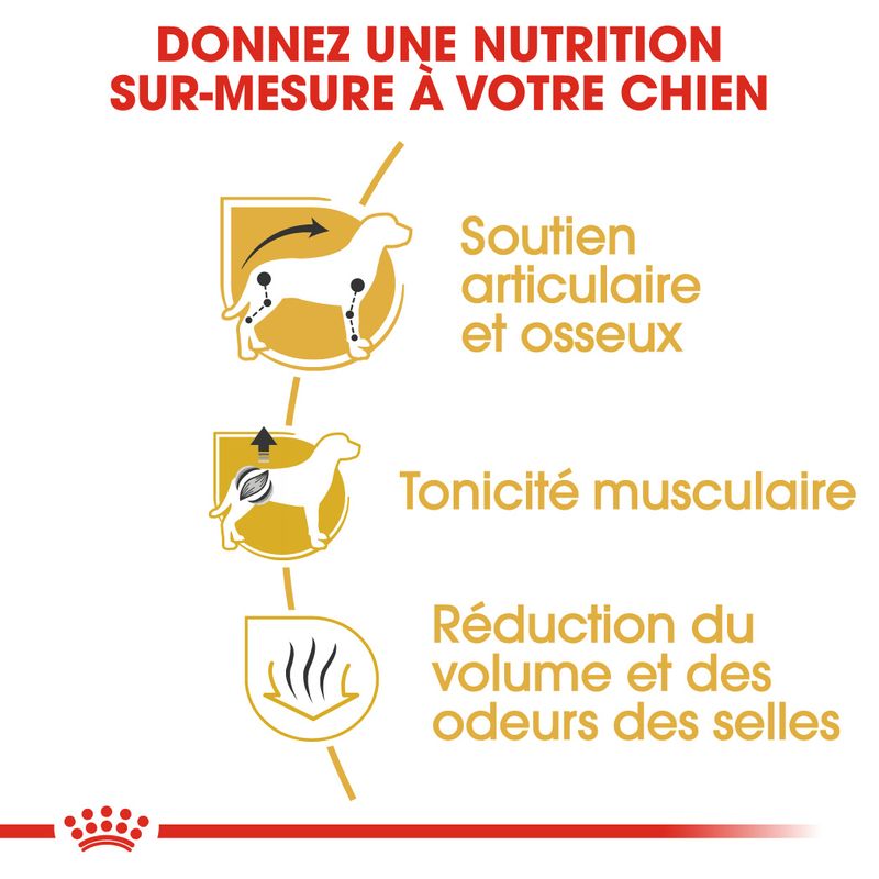 Royal Canin Teckel Adult à prix discount sur bitiba.fr