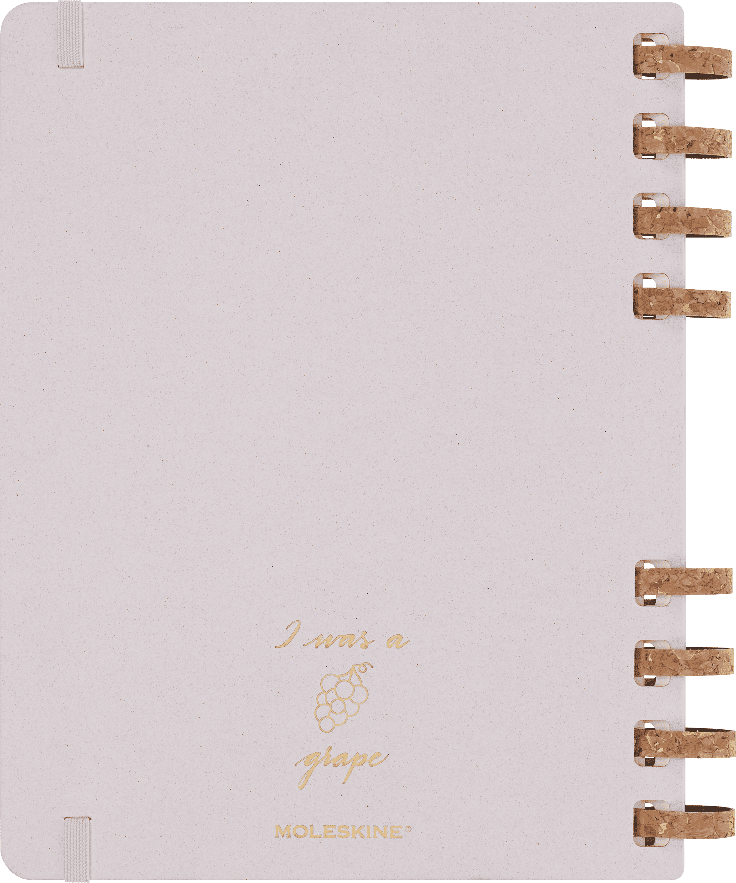 Undated Life Planner XL Weekly and Monthly, Spiral
