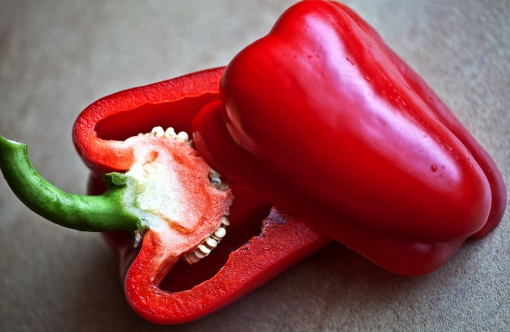 Sachet de graines de piment poivron doux yolo wonder - sachet de 2 grammes - petite entreprise française - made in france